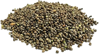 flavoured hemp seed fishing in ireland prebait tench, bream, carp, roach, hybrids fishing in ireland prebait
