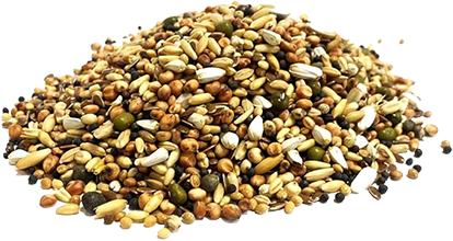 soaked mix fishing prebait tench bream rudd roach fishing ireland soaked mix fishing prebait tench bream rudd roach fishing ireland, fishing bait